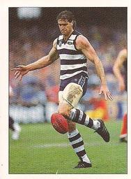 1990 Select AFL Stickers #120 Darren Flanigan Front